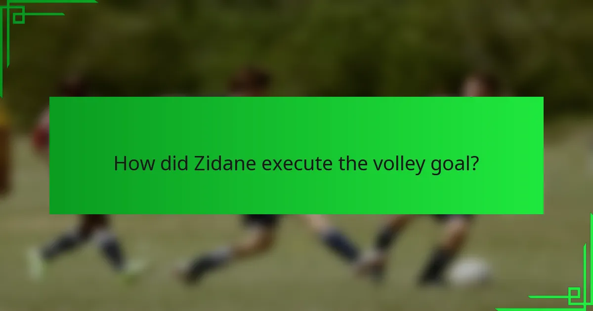 How did Zidane execute the volley goal?
